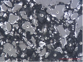 Fig.1: Microsection of a micro pellet after reduction process: Fe - Metallic Iron; W - Wustite; Sl - Silica; G - Gangue; B – Binder accumulation (Sodium silicate)