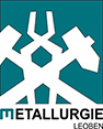 Department Metallurgy Logo