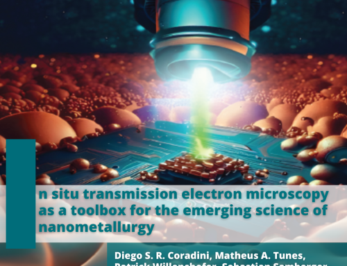 In situ transmission electron microscopy as a toolbox for the emerging science of nanometallurgy